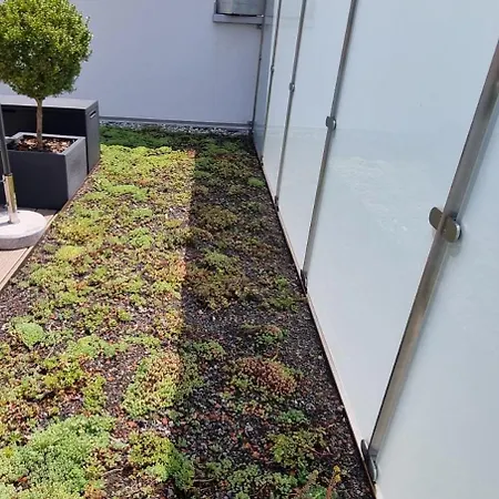 Traumhafte Neue Dachterrassenwohnung Am Soyener Soyen